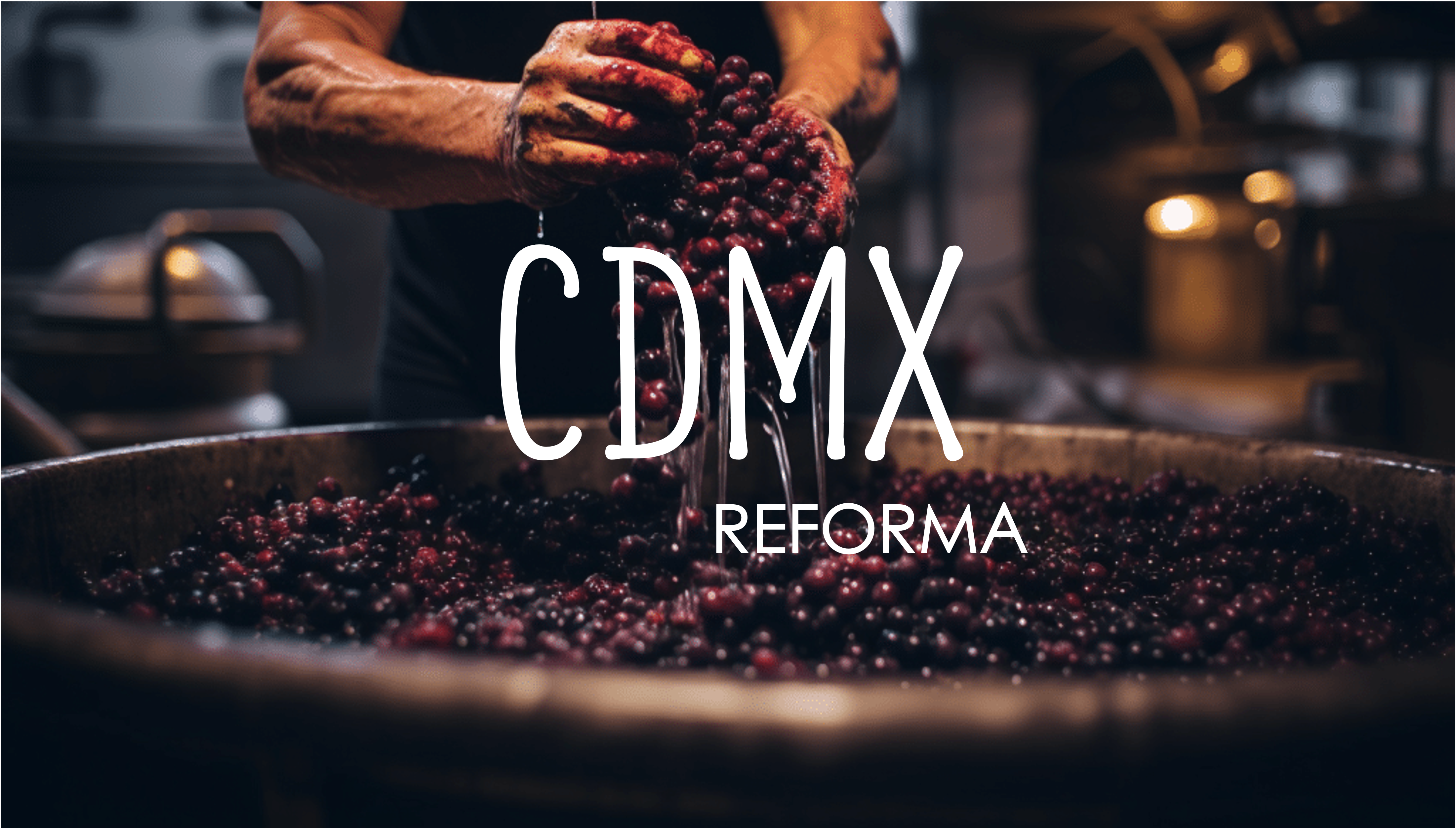 Imagen de Diplomado en Vinos CDMX Reforma